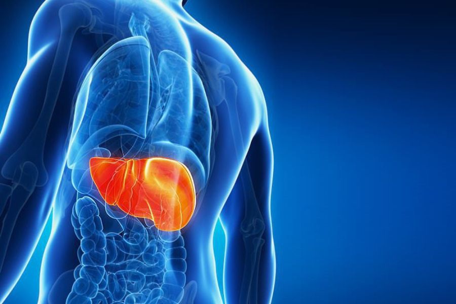 Virus viêm gan B có khả năng lây truyền mạnh hơn virus HIV từ 50 đến 100 lần