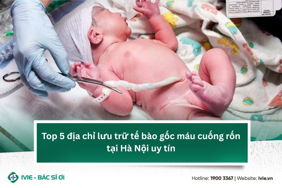 Top 5 địa chỉ lưu trữ tế bào gốc máu cuống rốn tại Hà Nội...