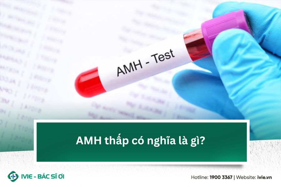 AMH thấp có nghĩa là gì?