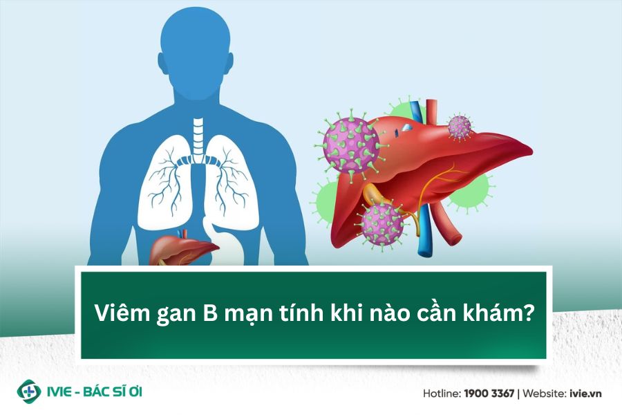 Viêm gan B mạn tính khi nào cần khám?