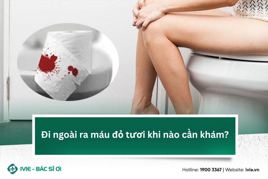 Đi ngoài ra máu đỏ tươi khi nào cần khám?
