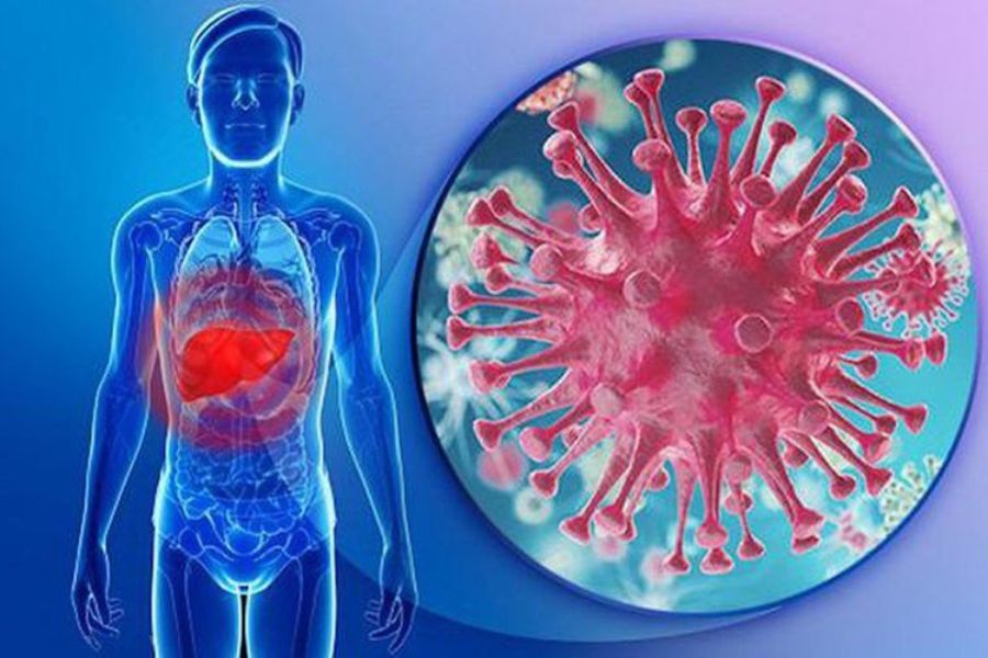 Diễn tiến tự nhiên của virus viêm gan B sau khi xâm nhập vào cơ thể con người