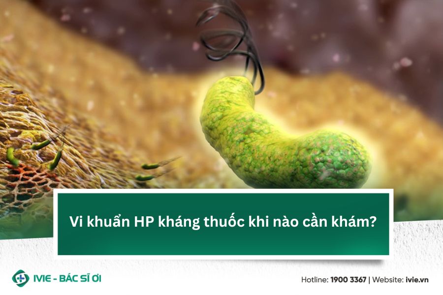 Vi khuẩn HP kháng thuốc khi nào cần khám?