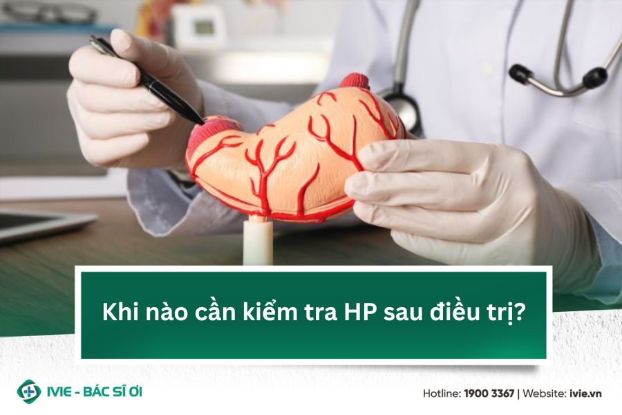 Khi nào cần kiểm tra HP sau điều trị?