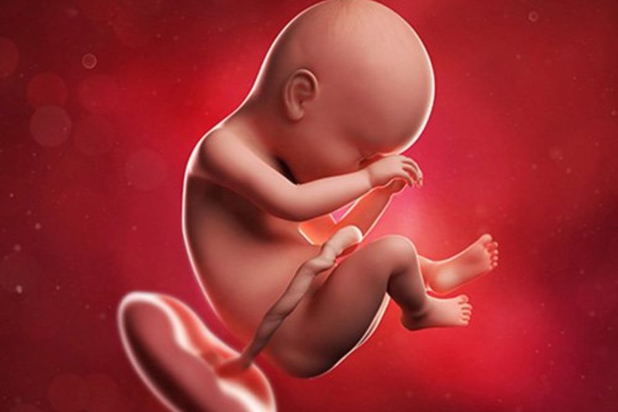 Các biến chứng nguy hiểm của nhau tiền đạo đối với sức khỏe của mẹ và bé trong thai kỳ