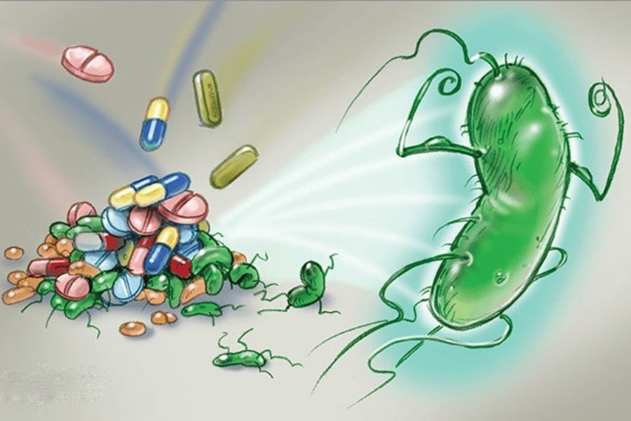 Vi khuẩn HP kháng thuốc khiến một số kháng sinh giảm hoặc mất hiệu quả, làm việc điều trị khó khăn hơn