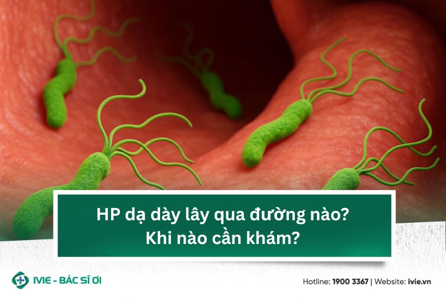 HP dạ dày lây qua đường nào? Khi nào cần khám?