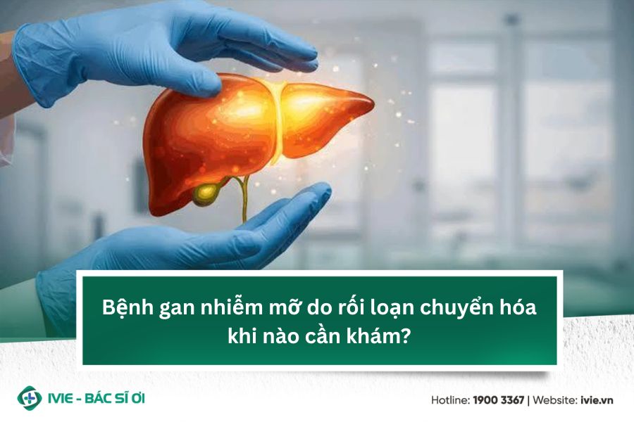 Bệnh gan nhiễm mỡ do rối loạn chuyển hóa khi nào cần khám?