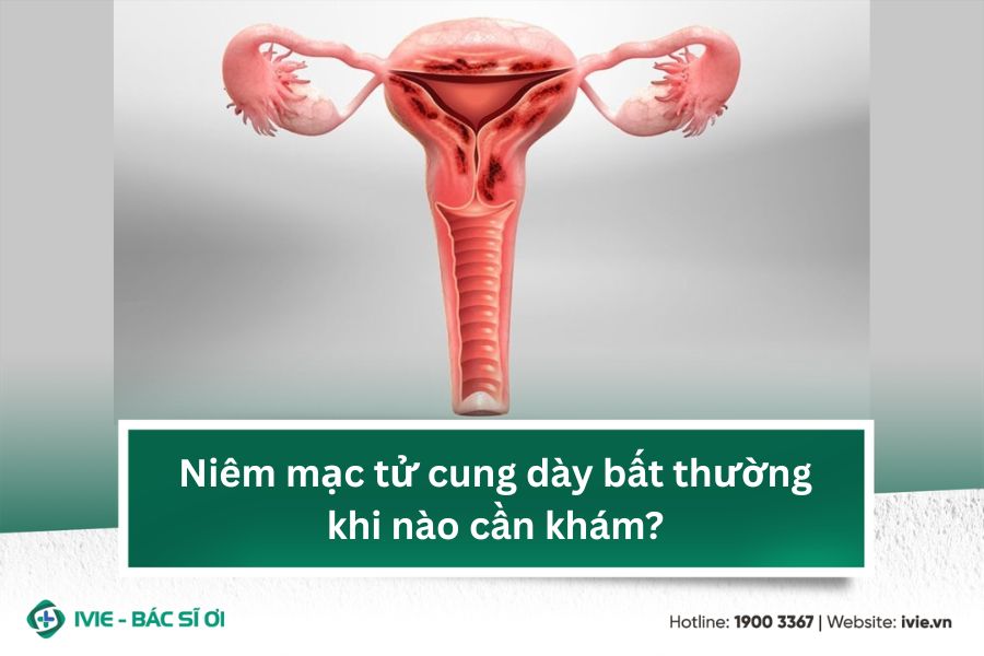 Niêm mạc tử cung dày bất thường khi nào cần khám?