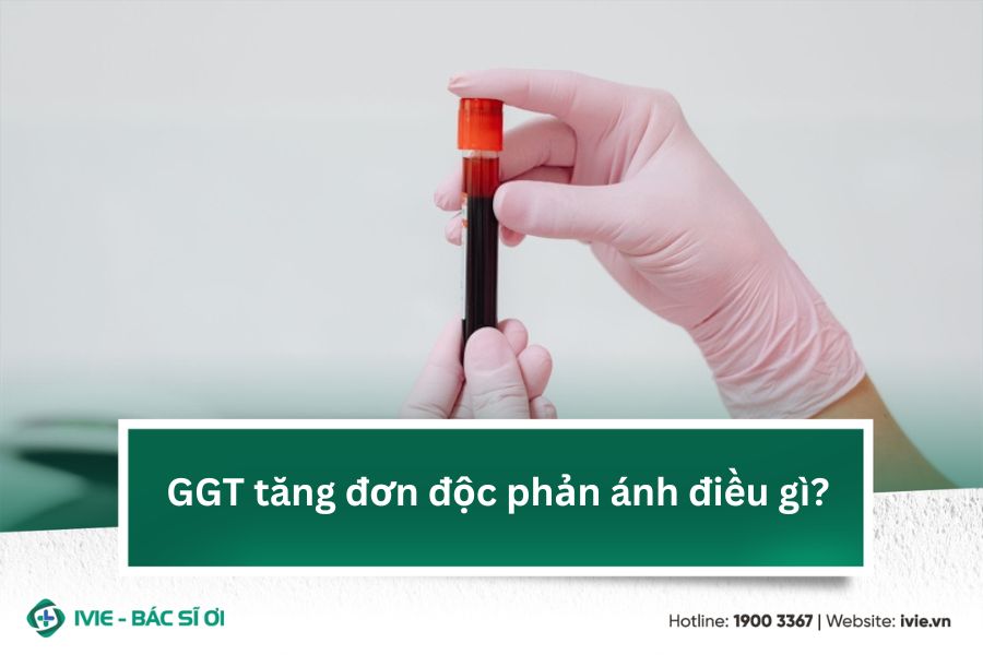 GGT tăng đơn độc phản ánh điều gì?