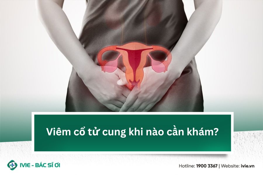 Viêm cổ tử cung khi nào cần khám?