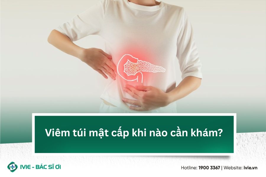 Viêm túi mật cấp khi nào cần khám?