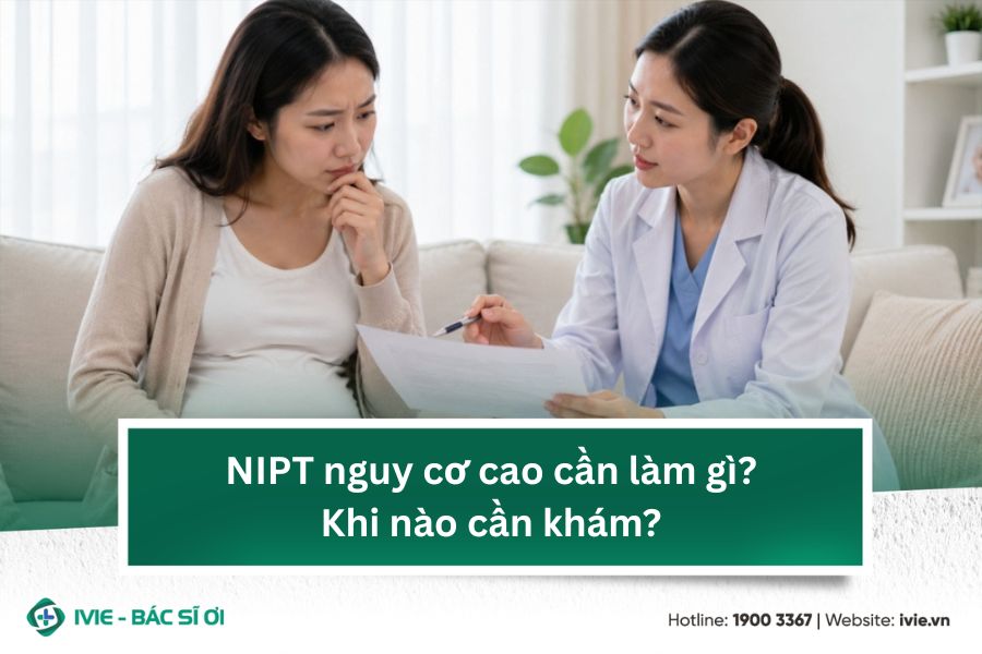 NIPT nguy cơ cao cần làm gì? Khi nào cần khám?