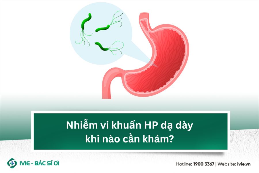 Nhiễm vi khuẩn HP dạ dày khi nào cần khám?