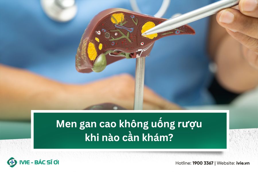 Men gan cao không uống rượu khi nào cần khám?