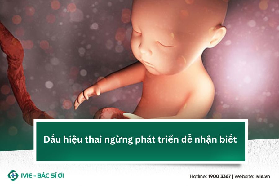 Dấu hiệu thai ngừng phát triển dễ nhận biết