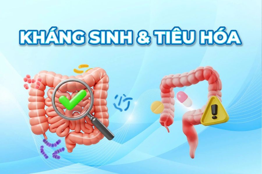 Kháng sinh có thể làm mất cân bằng hệ vi sinh đường ruột, gây tiêu chảy, nhất là ở trẻ nhỏ và người cao tuổi