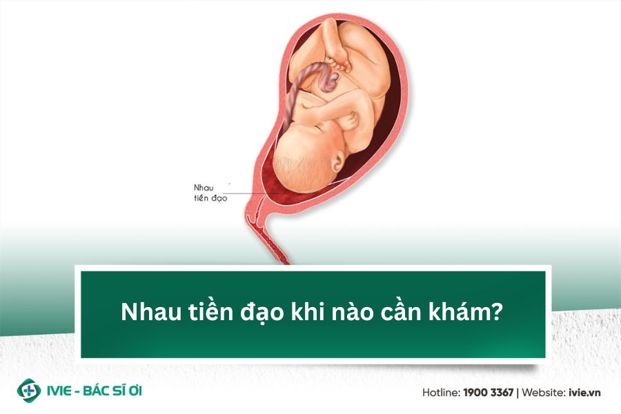 Nhau tiền đạo khi nào cần khám?