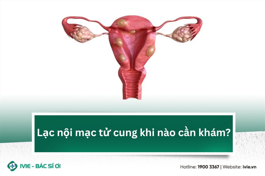 Lạc nội mạc tử cung khi nào cần khám?