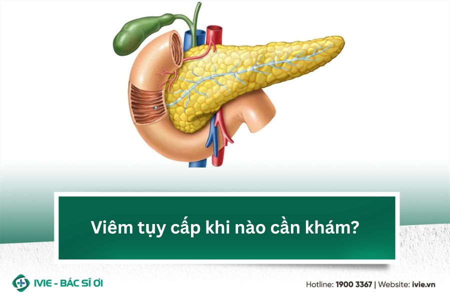 Viêm tụy cấp khi nào cần khám?