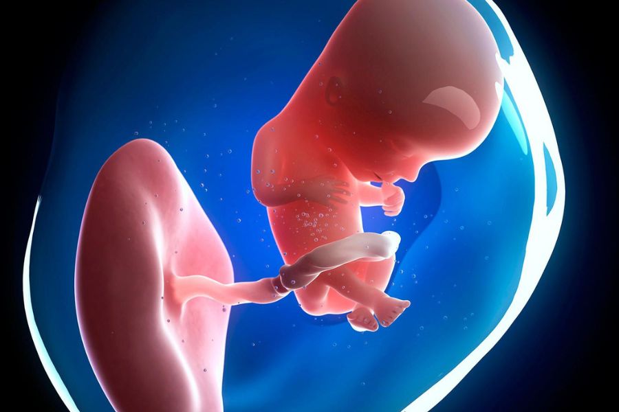 Theo dõi sát sao sức khỏe thai nhi giúp giảm thiểu rủi ro biến chứng do ứ mật thai kỳ
