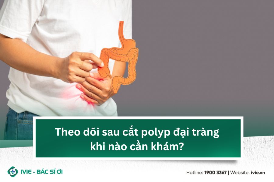 Theo dõi sau cắt polyp đại tràng khi nào cần khám?