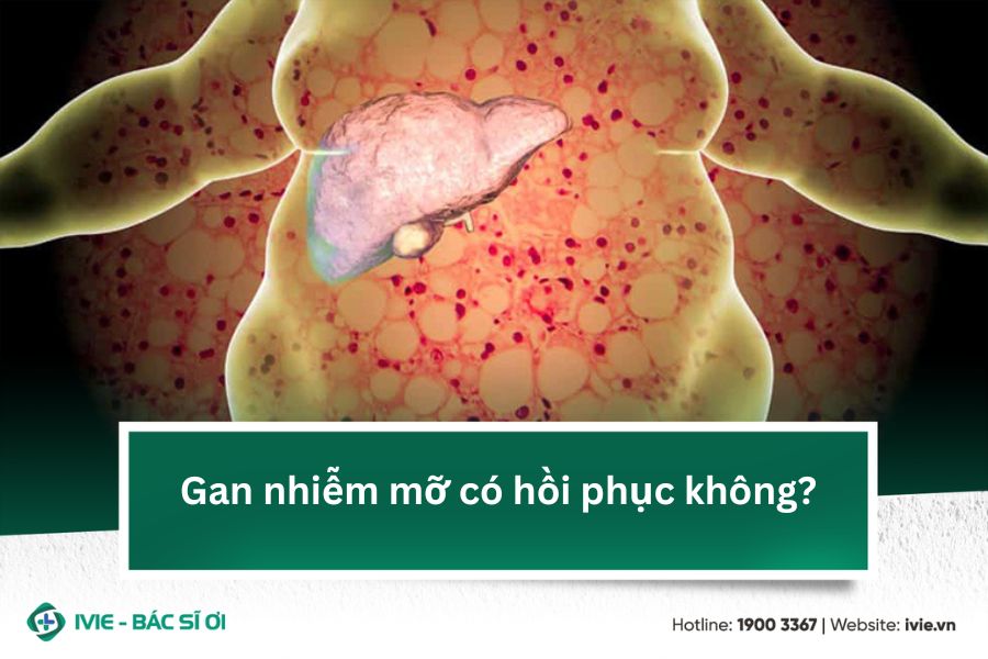 Gan nhiễm mỡ có hồi phục không?
