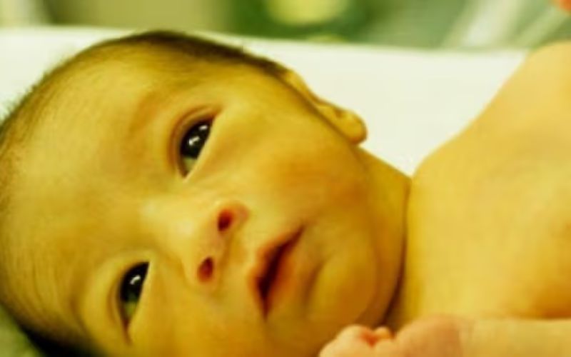Khoa Nhi tại Bệnh viện Đa khoa Quốc tế Thu Cúc là địa chỉ bố mẹ có thể tham khảo khi tìm khám vàng da sơ sinh ở đâu Hà Nội (Ảnh: Bệnh viện Đa khoa Quốc tế Thu Cúc).